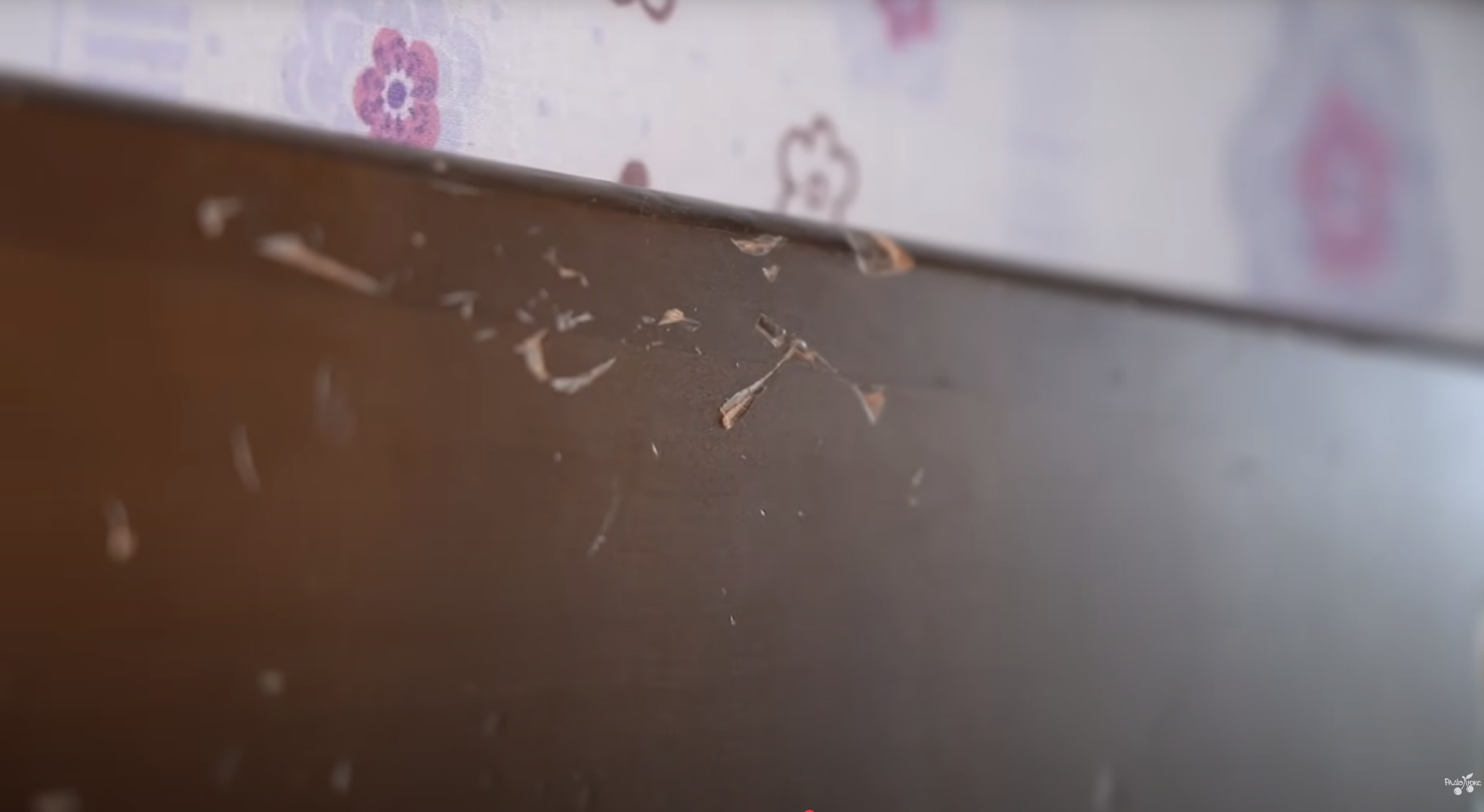 Олена Тополя провела тур квартирою, що постраждала від обстрілу: як виглядає житло зараз